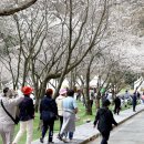 병영성주막 이미지