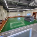 댕댕애견 이미지