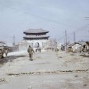 수원-1913 이미지