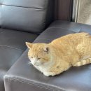 팔당역 예봉산 등산로 입구[팔당-3] 이미지