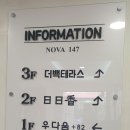 일일향 이미지