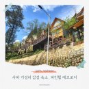 파인힐 호텔 | 사파 파인힐 에코로지 후기 뷰와 조식이 만족스러웠던 광장 근처 언덕 위 가성비 감성 숙소에서의 2박