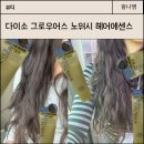 향헤어 | 다이소 그로우어스 노워시 헤어에센스 향, 손상모 사용후기