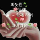 유남 이미지