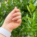 뮤어네일 | 전주 뮤어네일 웨딩네일 이달의네일맛집 내돈내산 후기