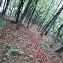 강산자연농장 이미지