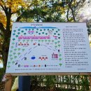 홍천은하수별빛마을 이미지