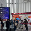 대만 이지카드(EasyCard) 공항 구매 위치 충전 환불 럭키 드로우 위치 후기