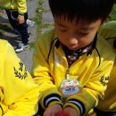 중인초등학교병설유치원 이미지