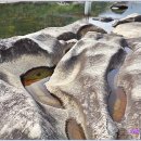 섬진강자전거길5 이미지