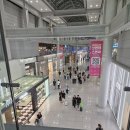 시드니 공항 입국, 옵터스 유심 개통, 커먼웰스뱅크에서 계좌개설, 집구하고 시티구경하고 시드니...