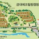 금대에코힐링캠핑장 티스토리