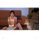 연수경찰서내 | 오사카 어학연수 출발 2주전