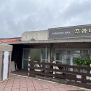 푸라비다네일