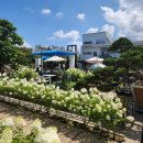 홍종흔베이커리 이미지