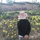 유형문화재 제43호 추사고택 주차장 이미지