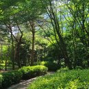 LG1차승리공인중개사사무소 이미지