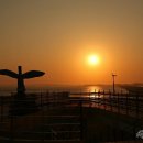 조류탐사과학관 이미지