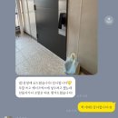 바우미우 이미지