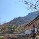 매실사랑펜션 이미지