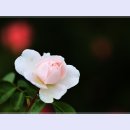 곡성-079 티스토리