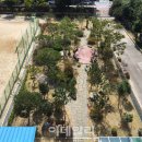 월계초교 이데일리