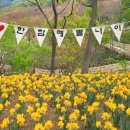 #진주 금산 월아산 &#34;숲속의 진주&#34; 이미지