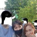 김현준음악학원 | 강남심포니 찾아가는 음악회 양재천 밀미리 다리 편- 본격 공연원정 경유노선