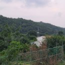 일영펜션 이미지