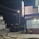 장수버섯 이미지