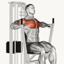 휘트니스 다온 이미지