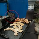 소품분재원
