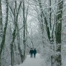 미조 물미항도전망대 | 국내 겨울 여행지 추천 경상남도 남해 여행 가볼만한 곳 총정리