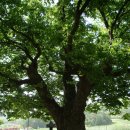 영주이야기 이미지