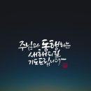 은혜 Daum카페