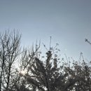 여의대로2길 이미지