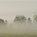 심안경원 이미지