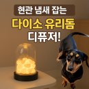 유리돔 모드등 | 다이소 유리돔 디퓨저 세트 후기- 현관 꿉꿉한 냄새 + 배변패드 냄새 한 번에 해결!