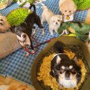 엄마 잘 다녀와 이미지