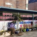 부산하우스열무국수 이미지