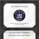 뉴욕의원 이미지