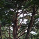 마진마을 이미지