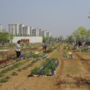 원미농장 이미지