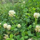 무너미농장 이미지