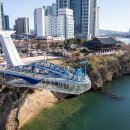 물뿜는 고래 이미지