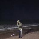 대천해수욕장 국민여가캠핑장(1지구) | 대천해수욕장 캠핑장 예약없이 1만원 가성비 국민여가캠핑장 명당 추천 | 카즈미 트리온 원터치텐트