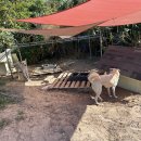 소이작 식당 이미지