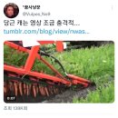 와 당근캐는거 봐바 이미지