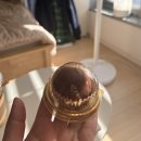 (유)하나물산 | 패션멘헤라의 삶