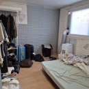 중앙동241 이미지